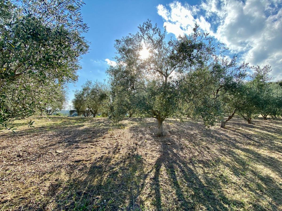 סרביון Domaine Punta Della Guardia Villa Vue Mer Dans Nature Protegee, Plage A 1,5 Km מראה חיצוני תמונה